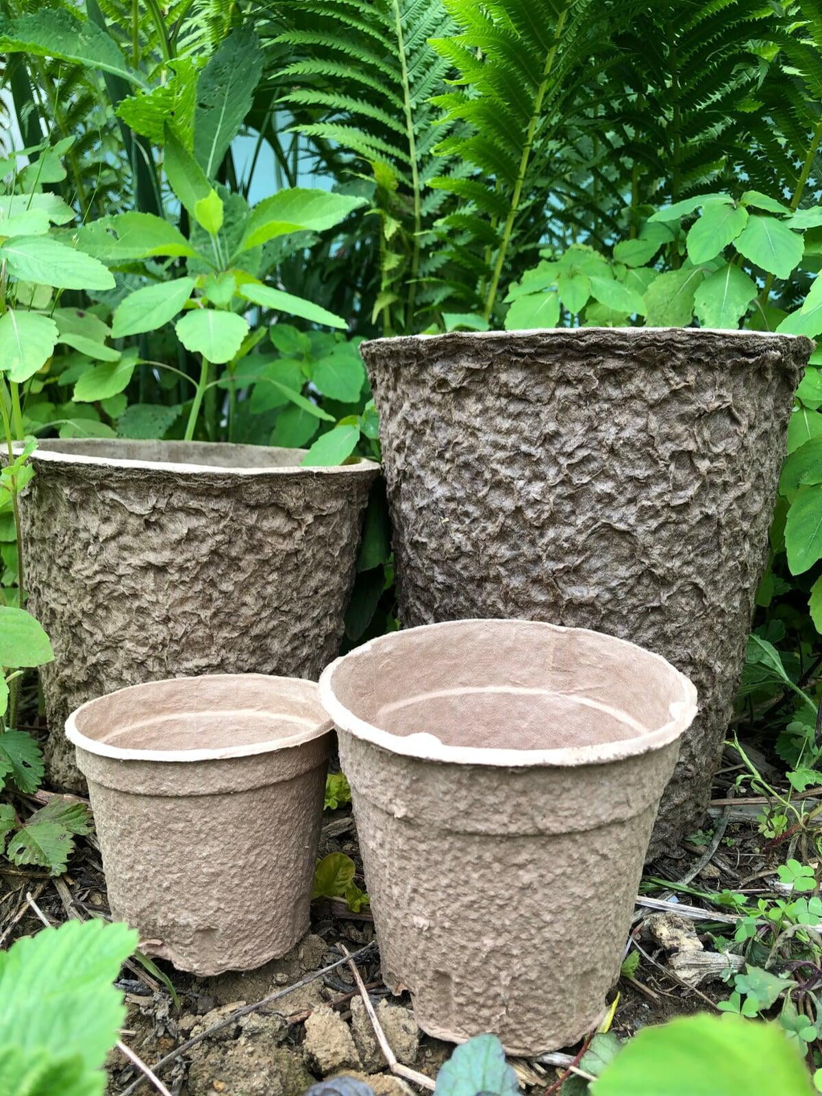 About Our Biodegradable Pots: photo of recycled, biodegradable pots