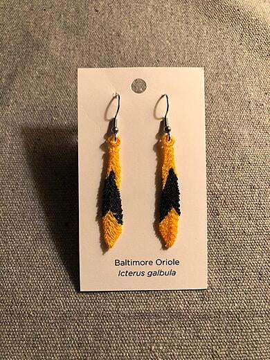 Baltimore Oriole Feathers